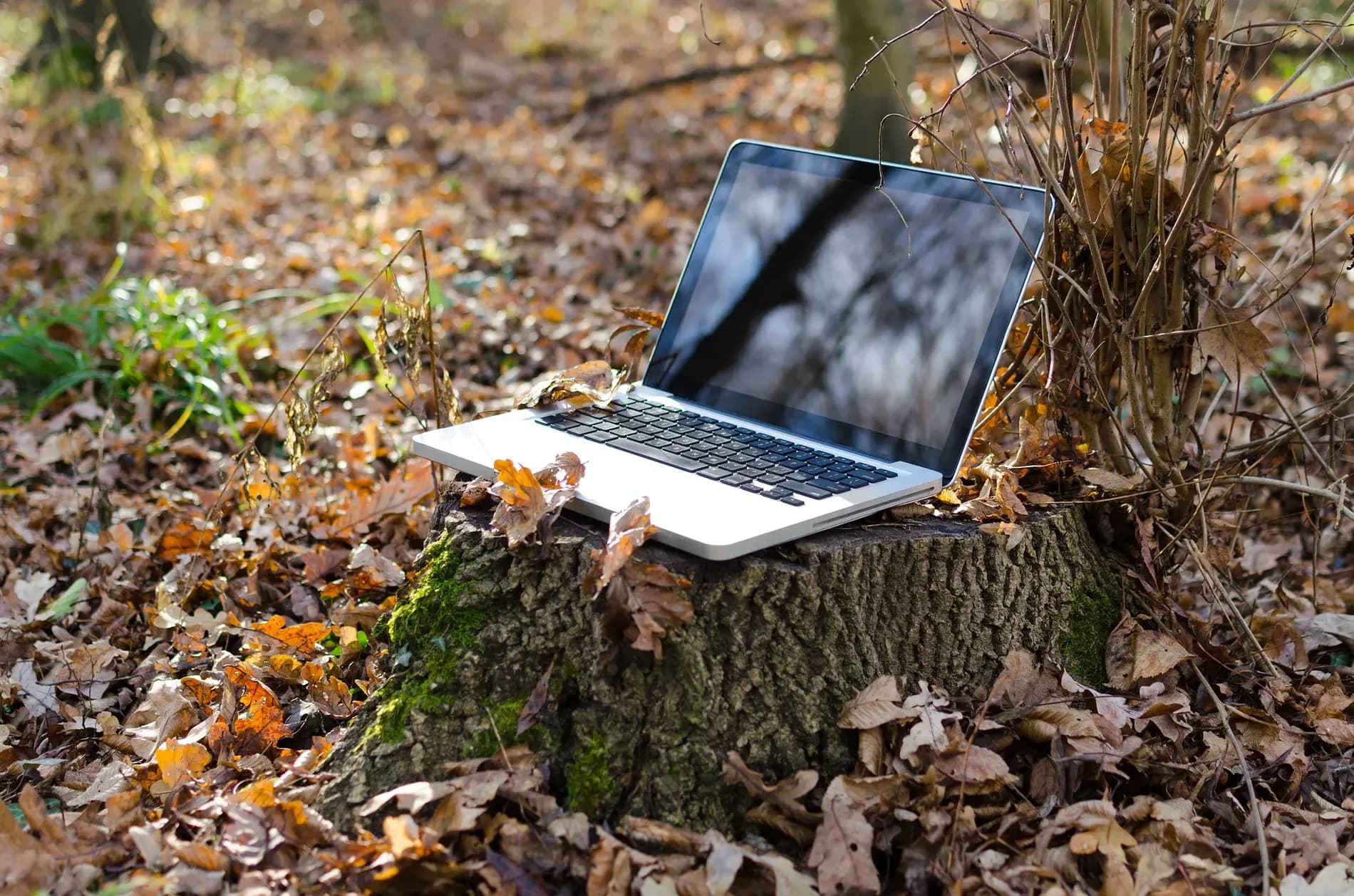 Créer un site internet écologique : 6 astuces pour créer des sites à basse consommation