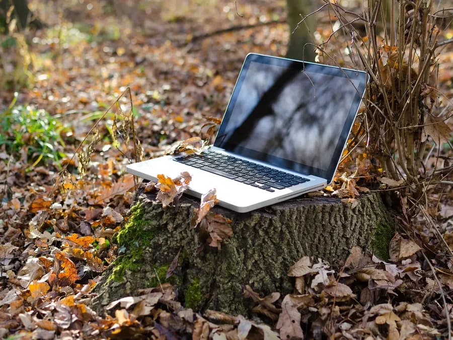 Créer un site internet écologique : 6 astuces pour créer des sites à basse consommation