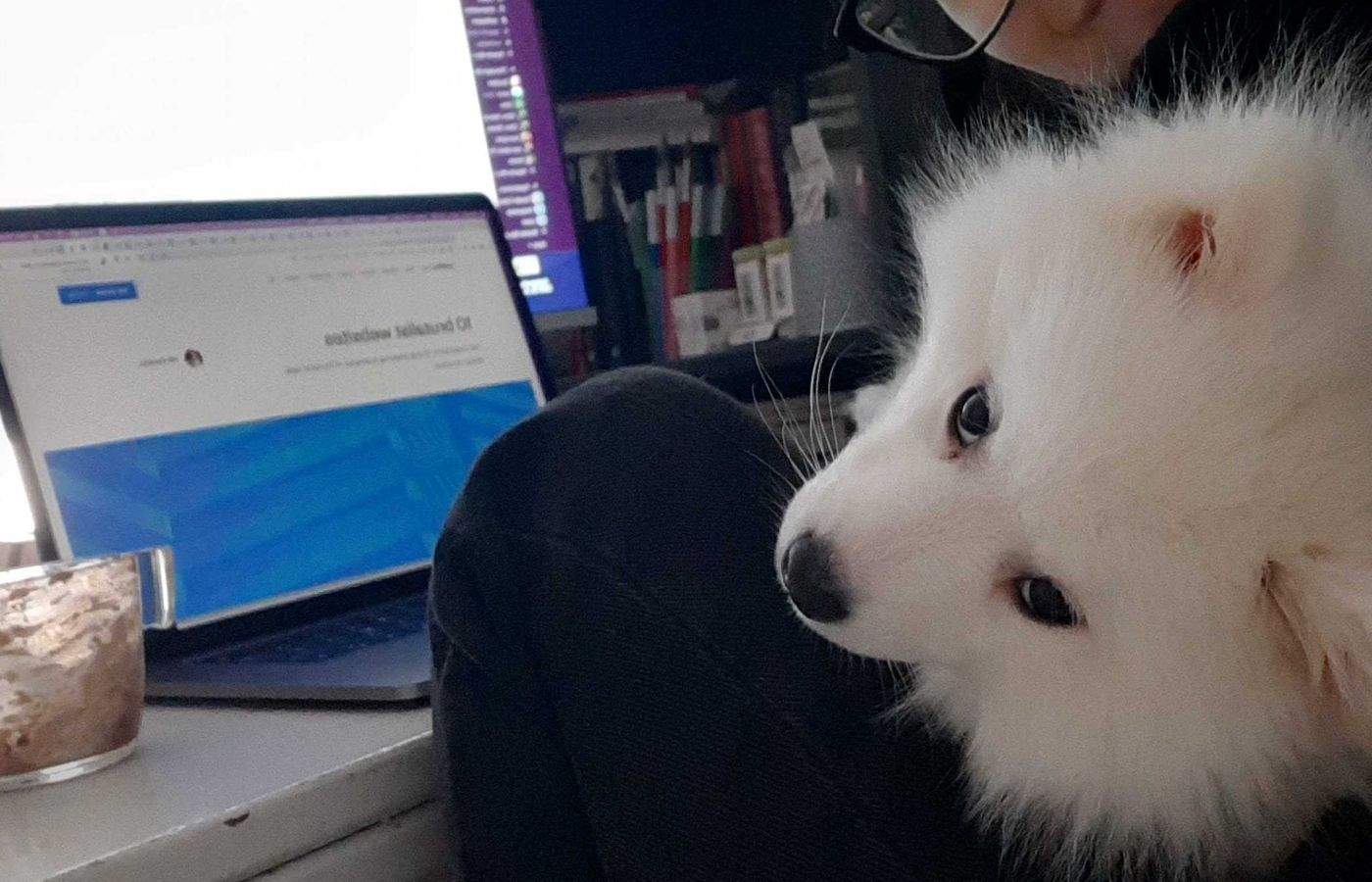 Behind the scenes with the Scroll team