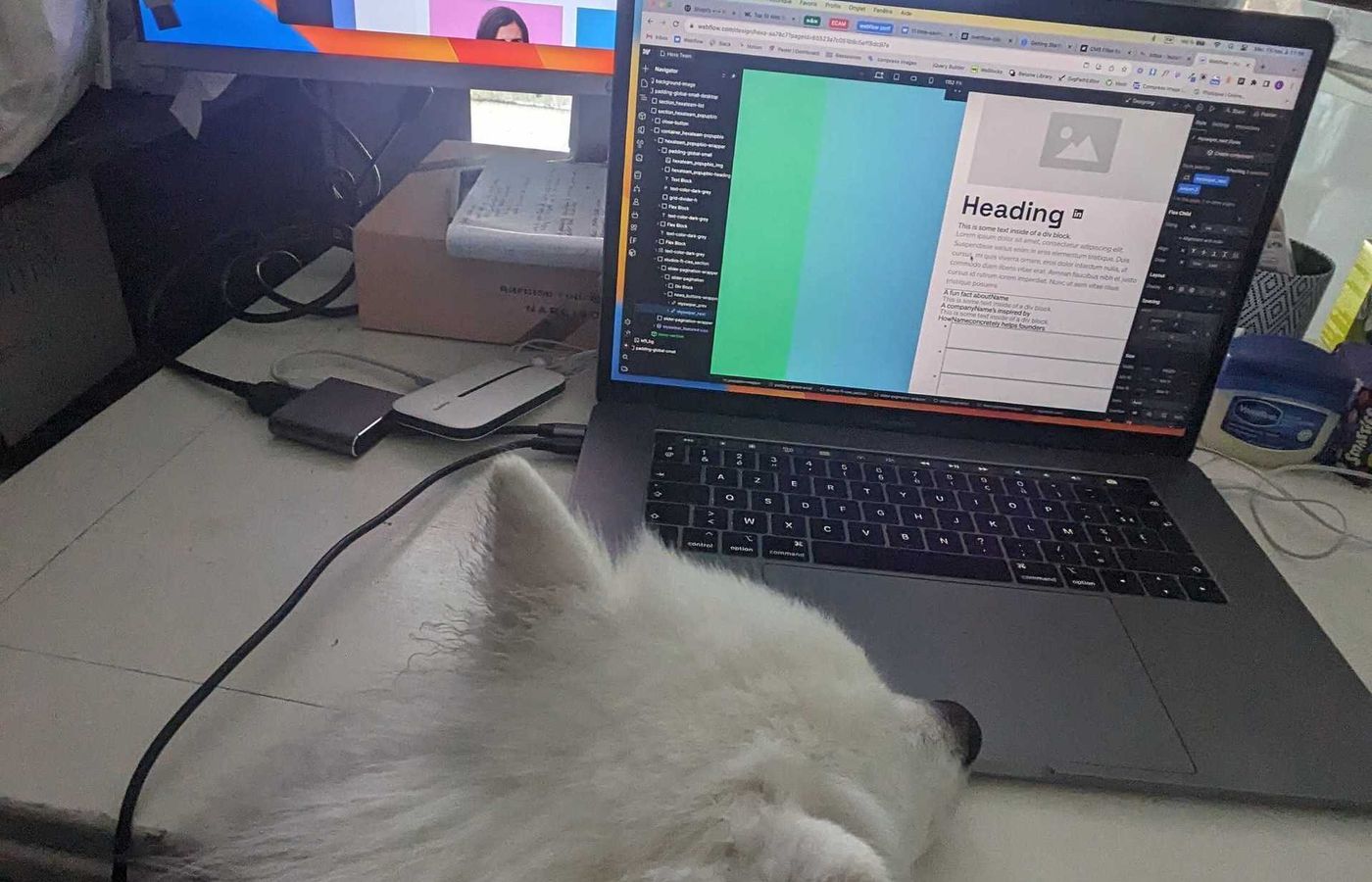 Behind the scenes with the Scroll team